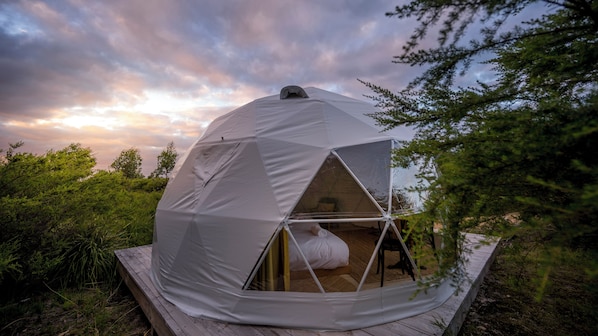 Una tienda en forma de cúpula geodésica con una plataforma de madera, rodeada de vegetación.