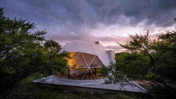 Deluxe Twin Room, Garden View