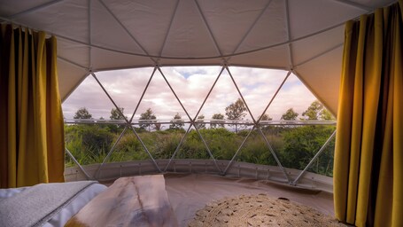 Deluxe Tent. Little Beach Co. Resort