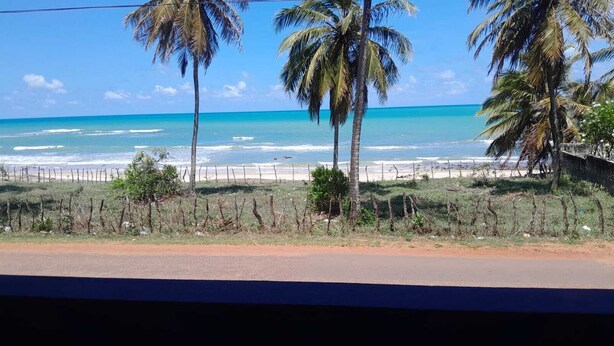 A beach with palm trees and a fence. - Pousada da Kika  (Touros)