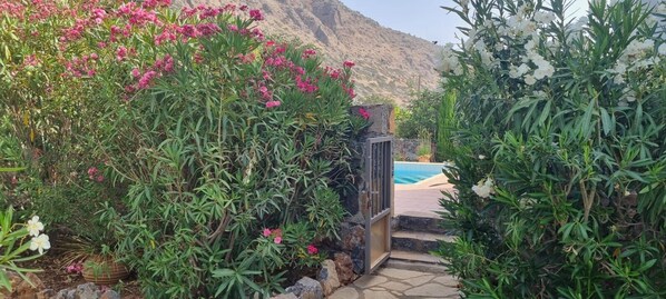 Property grounds - Plaka-Sleeps4-Parking-Pool-HotTub-SeaViews (Elounda)