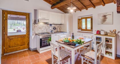 Vigna Home Amazing Site Chianti Classico, Strada in Chianti, Italy