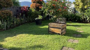 Un jardin agrémenté de diverses plantes, un mur en pierre et un bac à fleurs en bois.