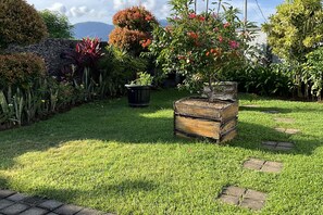 A garden with a variety of plants, a stone wall, and a wooden planter box.