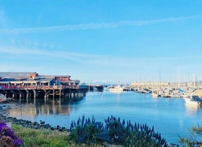 Modern coastal home in beautiful Monterey with peek of the ocean and hot tub