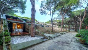 A modern house with a patio, stone steps, and a view of the surrounding trees.