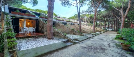 A modern house with a patio, stone steps, and a view of the surrounding trees.