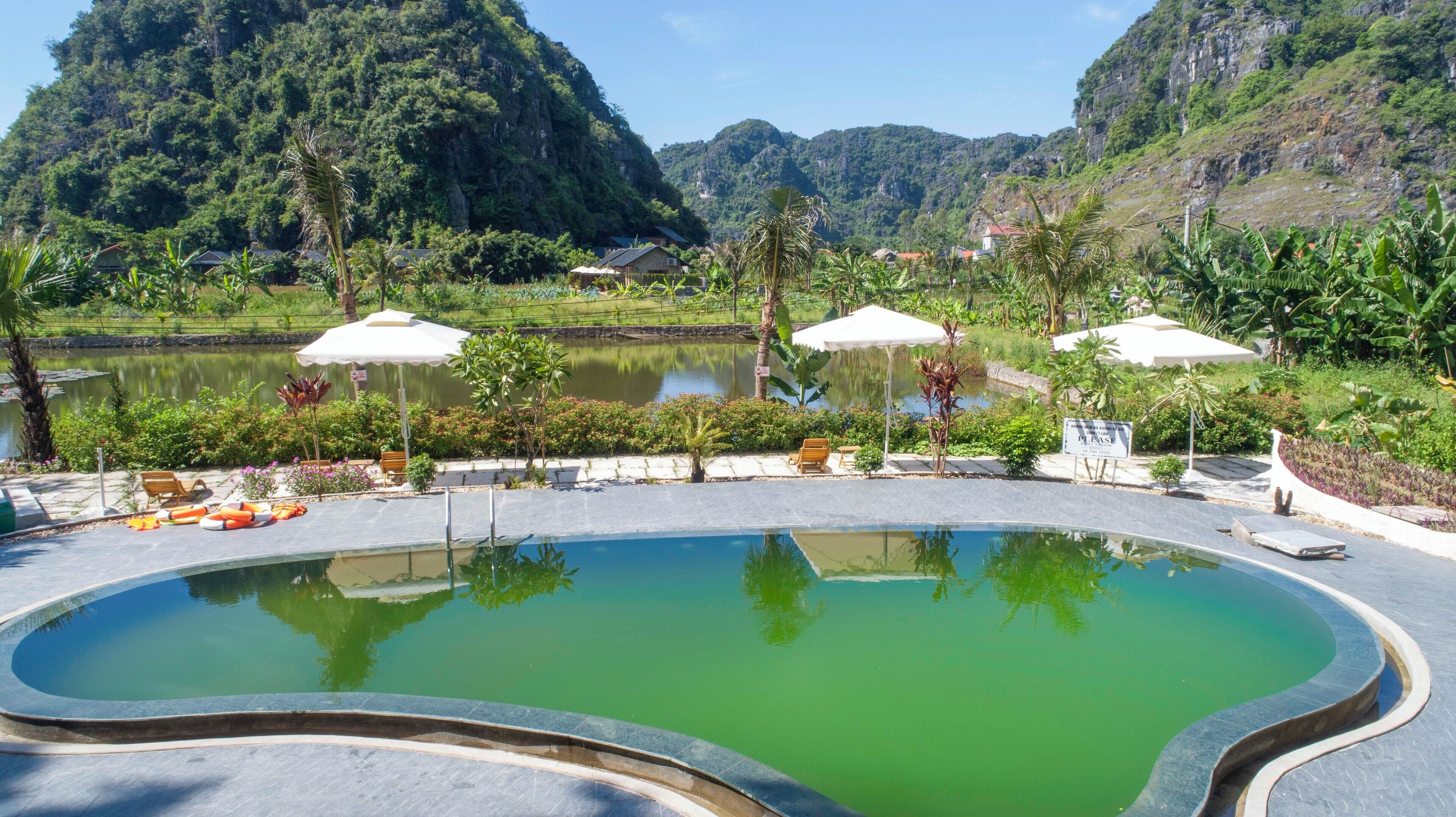 A swimming pool with a greenish hue, surrounded by lounge chairs and umbrellas, set against a backdrop of lush greenery and mountains.