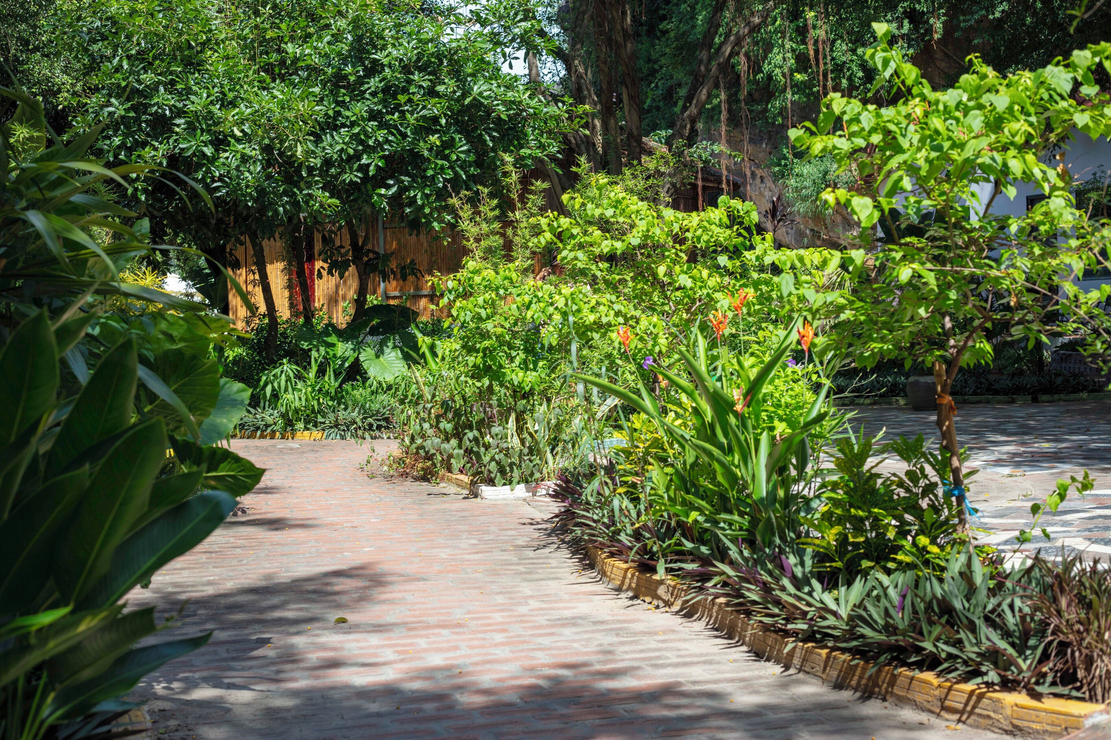 Um caminho pavimentado num jardim, ladeado por vegetação exuberante e diversas plantas.