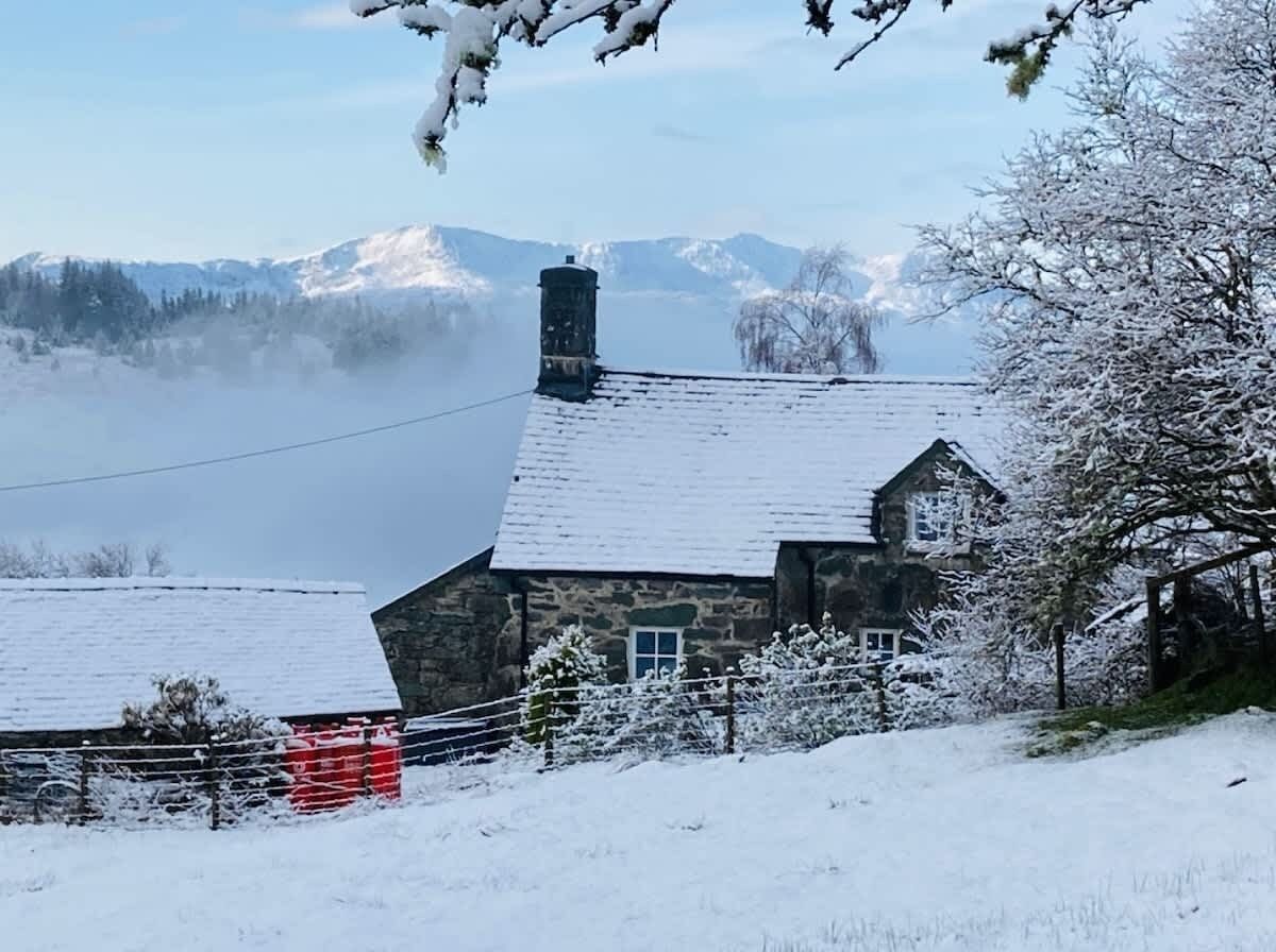 A stone house with a sloped roof, surrounded by snow-covered trees and a mountain backdrop.
