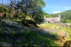 Property grounds - Secluded Mountain Stay - Stunning Views of Eryri (Gwynedd)