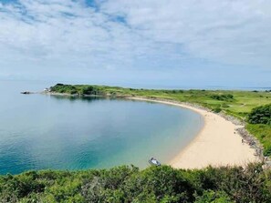 Un paysage côtier avec une plage de sable, une eau calme et une végétation verdoyante.