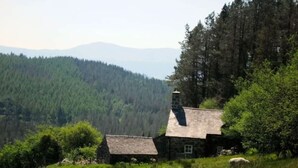 A rustic cabin with a chimney, surrounded by lush greenery and a forested mountain backdrop. - Secluded Mountain Stay - Stunning Views of Eryri (Dolgellau)