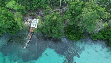 An aerial view of a small dock extending into turquoise waters, surrounded by dense green foliage.