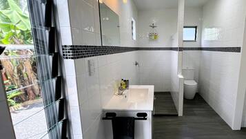 Deluxe House, 2 Bedrooms, Mountain View | Bathroom