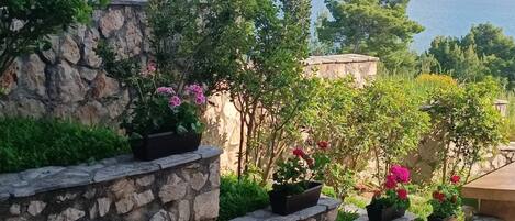 Terrein van de accommodatie