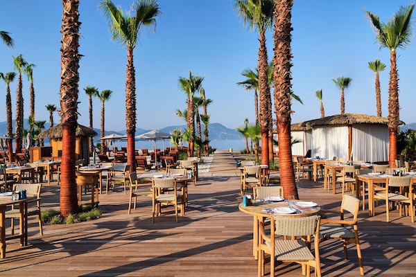 Hi ha 9 restaurants amb plats de cuina internacional
