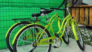 Een groene fiets geparkeerd tegen een groene muur, met een berg op de achtergrond.