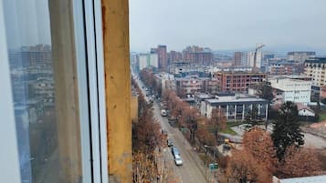 Studio, 1 Bedroom, Smoking, City View | View from property