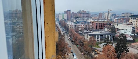 Studio, 1 Bedroom, Smoking, City View | View from property