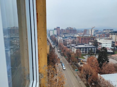 Studio, 1 Bedroom, Smoking, City View | View from property