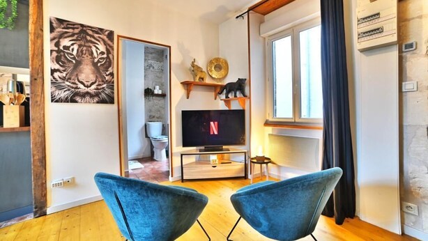 A modern living room with a TV, two blue chairs, a tiger painting, and a window with curtains. - ღ Jungle Rochelaise • Hypercentre, 4K TV, Fibre (La Rochelle)