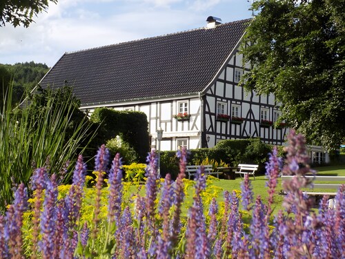 Apartment 'Kornkammer' with Shared Garden, Balcony and Wi-Fi