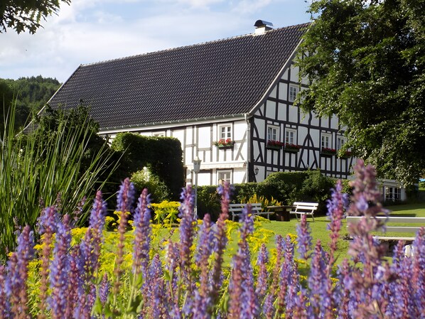 Terrein van de accommodatie