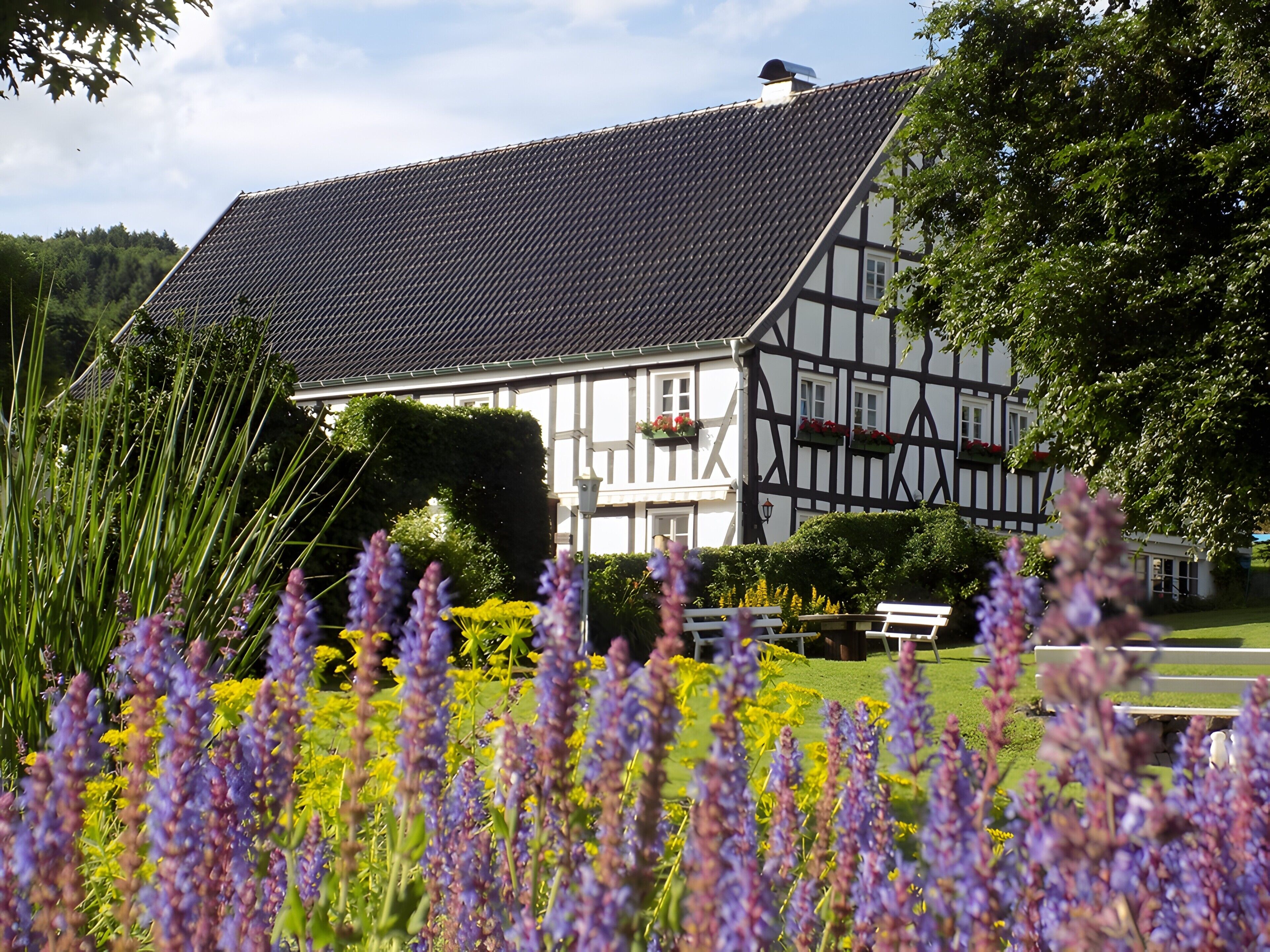 Enceinte de l’hébergement