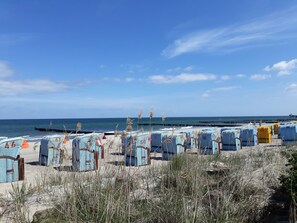 Sillas de playa alineadas en la arena con un muelle al fondo.