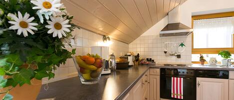 Réfrigérateur, four, plaque de cuisson, lave-vaisselle