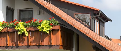 Detall de l'exterior