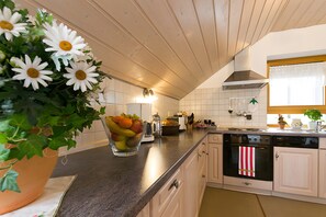 Fridge, oven, stovetop, dishwasher - Apartment 'Anne's' with Balcony and Wi-Fi (Bad Waldsee)