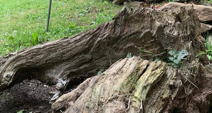 Bergluft Apartment Zirbenzapfen – Private Garden at 1,600 m Elevation