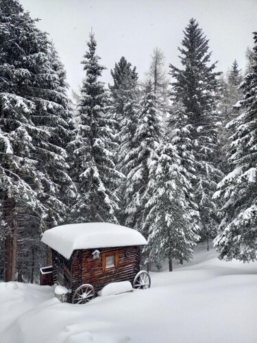 Bergluft Apartment Zirbenzapfen – Private Garden at 1,600 m Elevation