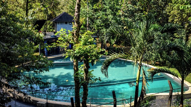 Una piscina rodeada de exuberante vegetación, un edificio pequeño y una zona cercada.