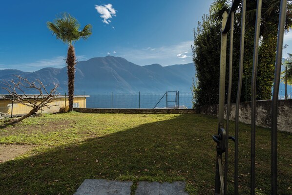 A grassy area with a palm tree, a metal fence, and mountains in the background.