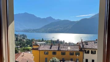 Apartamento (1 Bedroom) | Vistas al lago