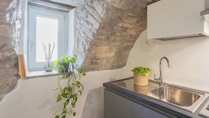 Une cuisine avec un mur en pierre, une fenêtre, un évier et une plante en pot.