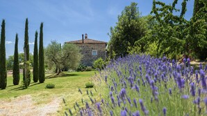 Une maison en pierre avec un toit de tuiles, entourée d’un jardin bien entretenu, agrémenté de champs de lavande et de grands cyprès.