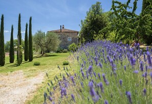 Terrein van de accommodatie