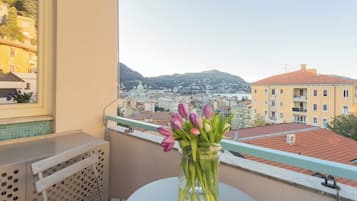 City view from property