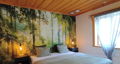 SkÄlsjögÄrden Timber Lodge