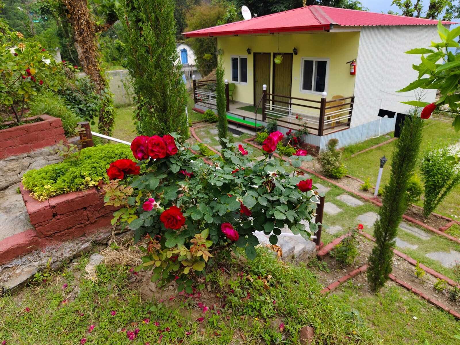 A house with a red roof, surrounded by a garden with red roses and green shrubs.