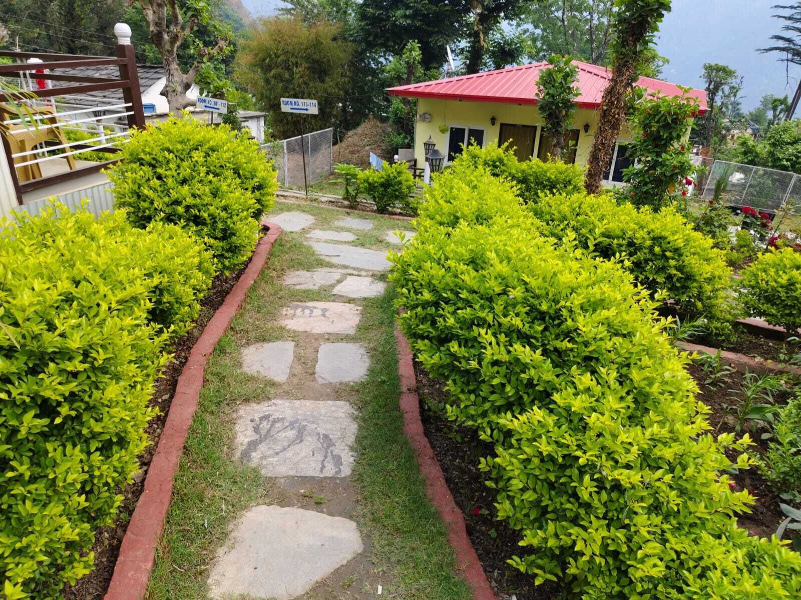 A pathway flanked by neatly trimmed hedges leading to a building with a red roof.