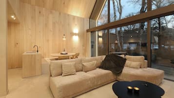 Smart TV, video library, stereo