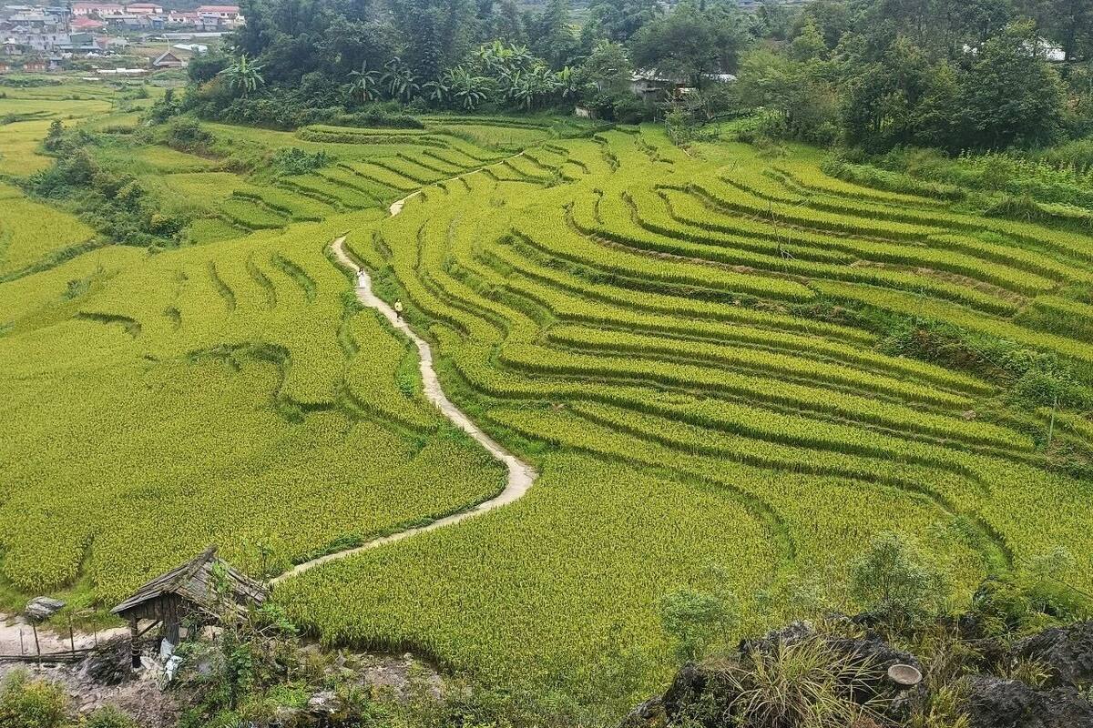 舒適三人房, 私人浴室, 山景 | 免費無線上網