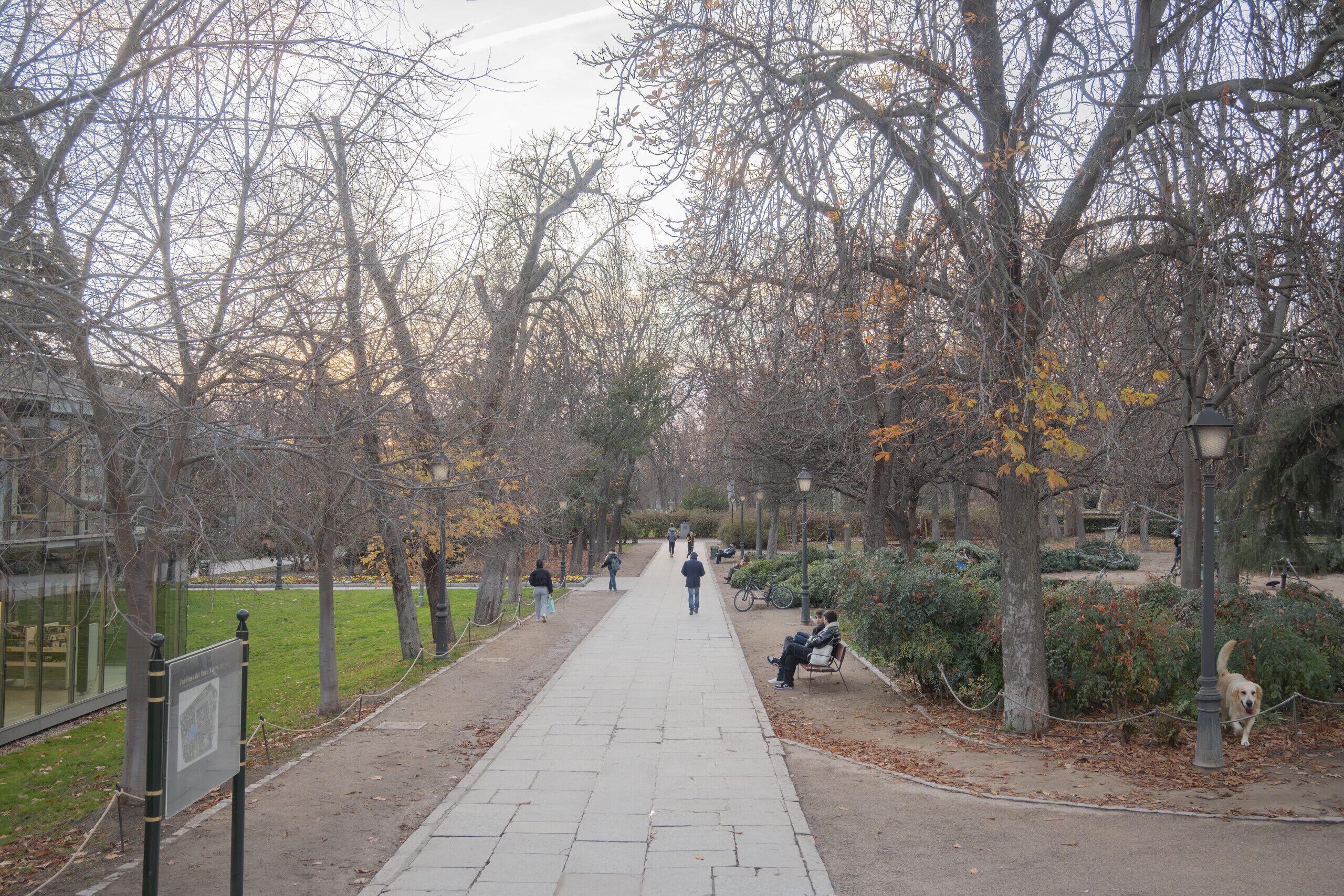A park pathway lined with trees and benches, with people walking and a dog on a leash.