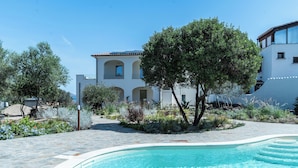 Une piscine à bordures courbes, entourée d’une terrasse en pierre et de verdure.