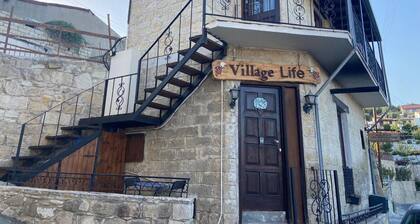 Tiny House Great Adventures!